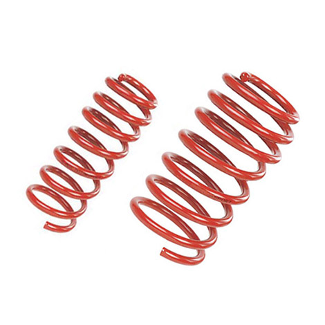 Venom Lowering Springs
